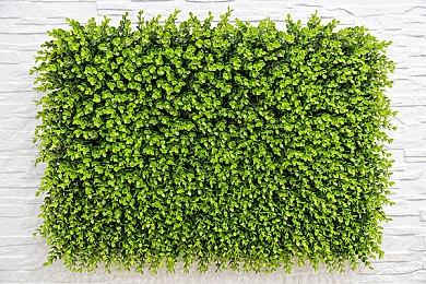 《轩辕剑3：云和山的彼端》12月8日登陆NS 售价14.99美元